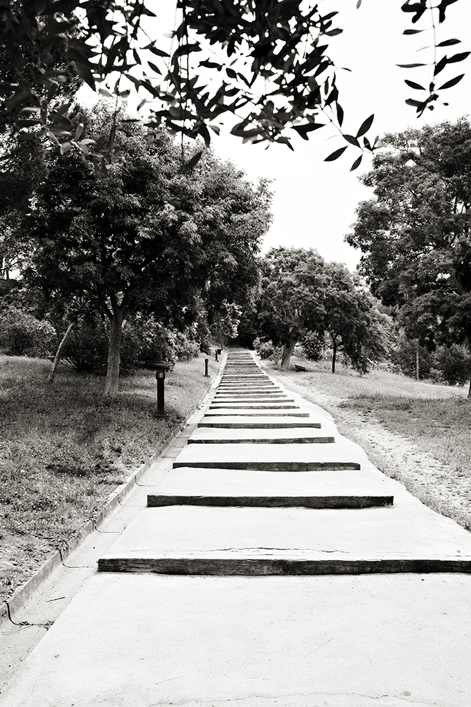 st tropez france walkway black and white print