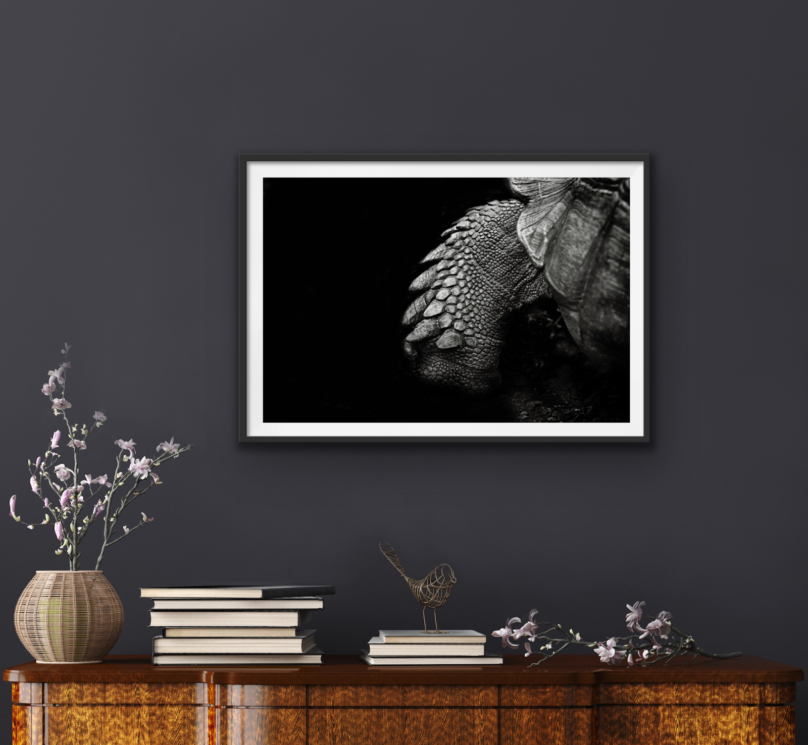 large format print of the leg of an old tortoise black and white fine art hanging above a credenza